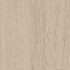 W1: Eiken licht - 