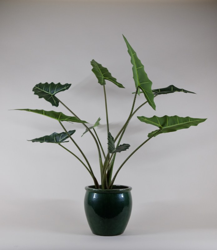 Exclusief Ingericht Kunstplant Alocasia Frydek - 100cm 