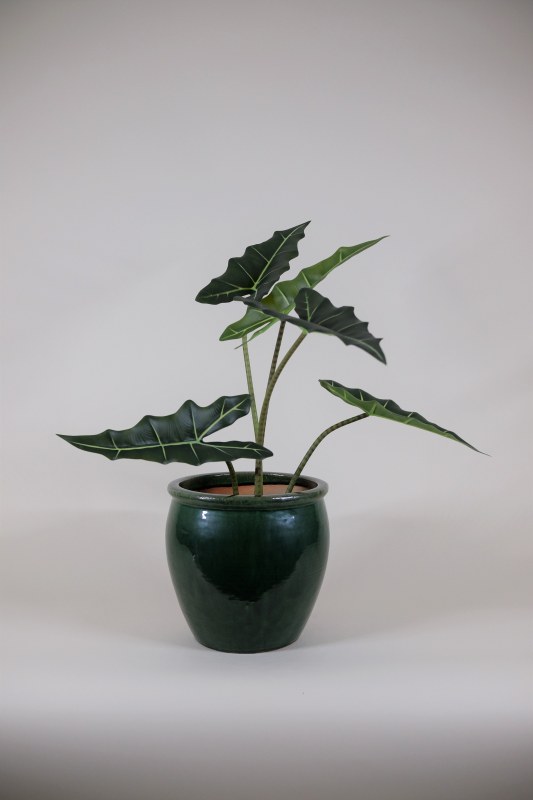 Exclusief Ingericht Kunstplant Alocasia Frydek - 80cm 