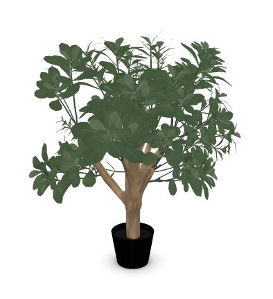 Febru Pittosporum kunstplant 65 cm 