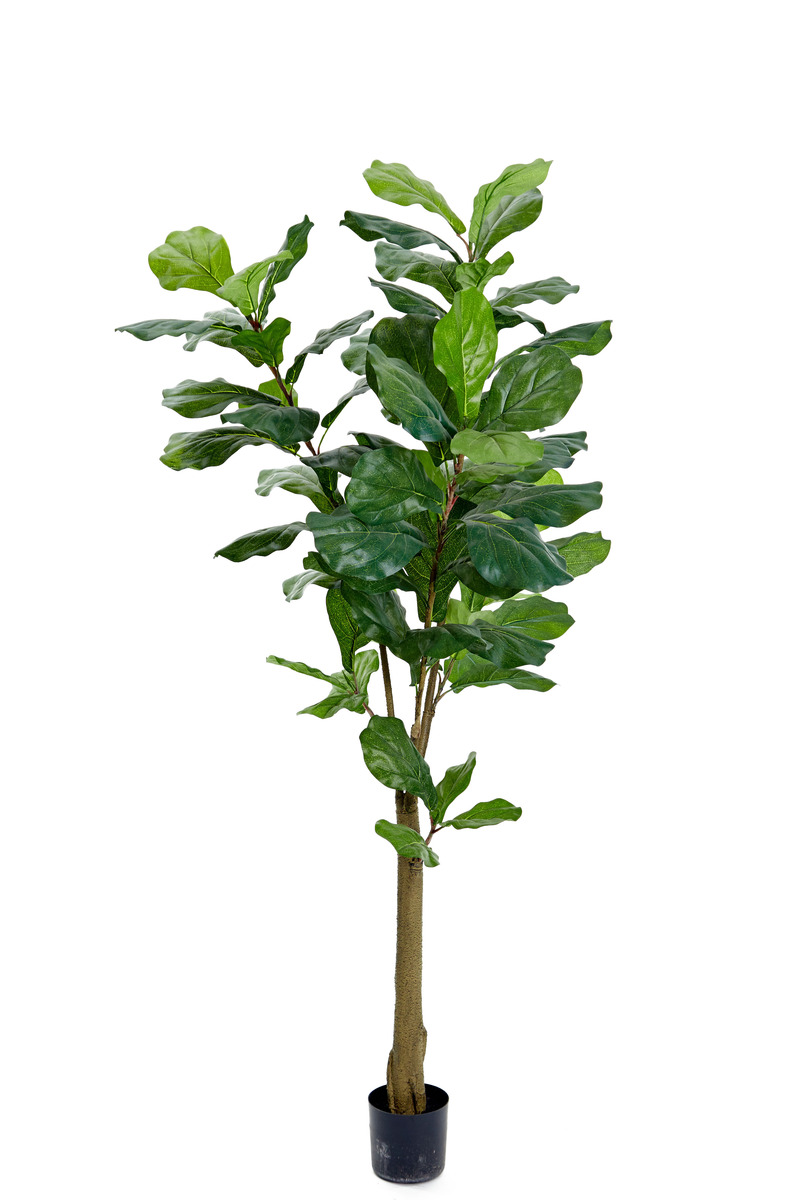 Götessons Fiol Ficus H1500mm kunstplant 