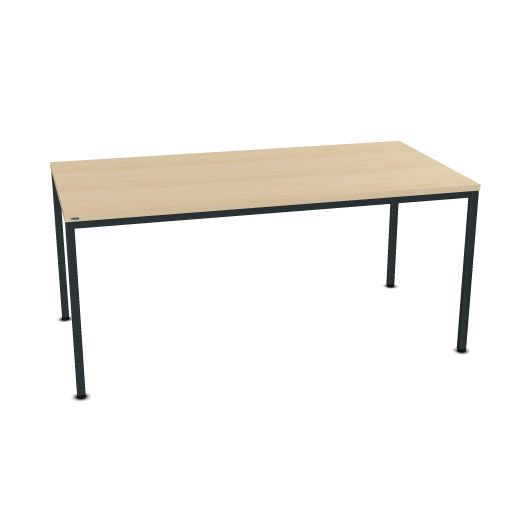 Assmann Pontis vergadertafel  