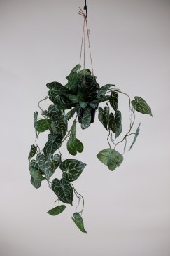 Exclusief Ingericht kunst hangplant Anthurium  EI-anthurium 0