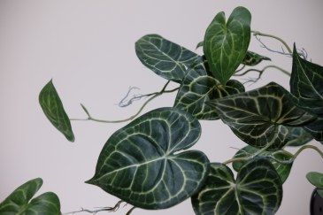 Exclusief Ingericht kunst hangplant Anthurium  EI-anthurium 1