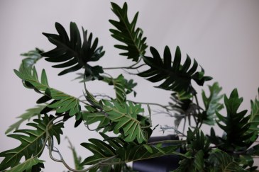 Exclusief Ingericht Kunstplant Philodendron  EI-Philodendron 1