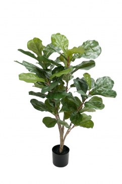 Götessons Fiol Ficus H900mm kunstplant  160002 0