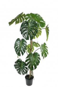 Götessons Monstera H1500 kunstplant  160001 0