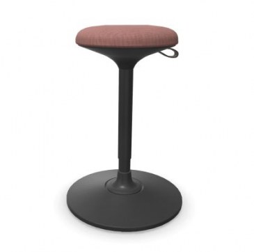 Narbutas kruk Wobby  G5A0389 1