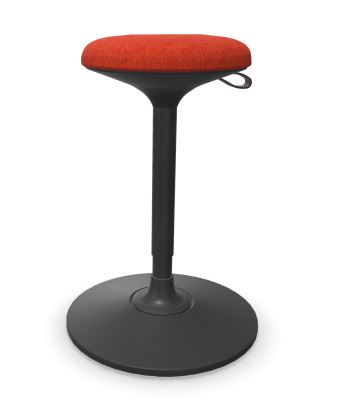 Narbutas kruk Wobby  G5A0389 2